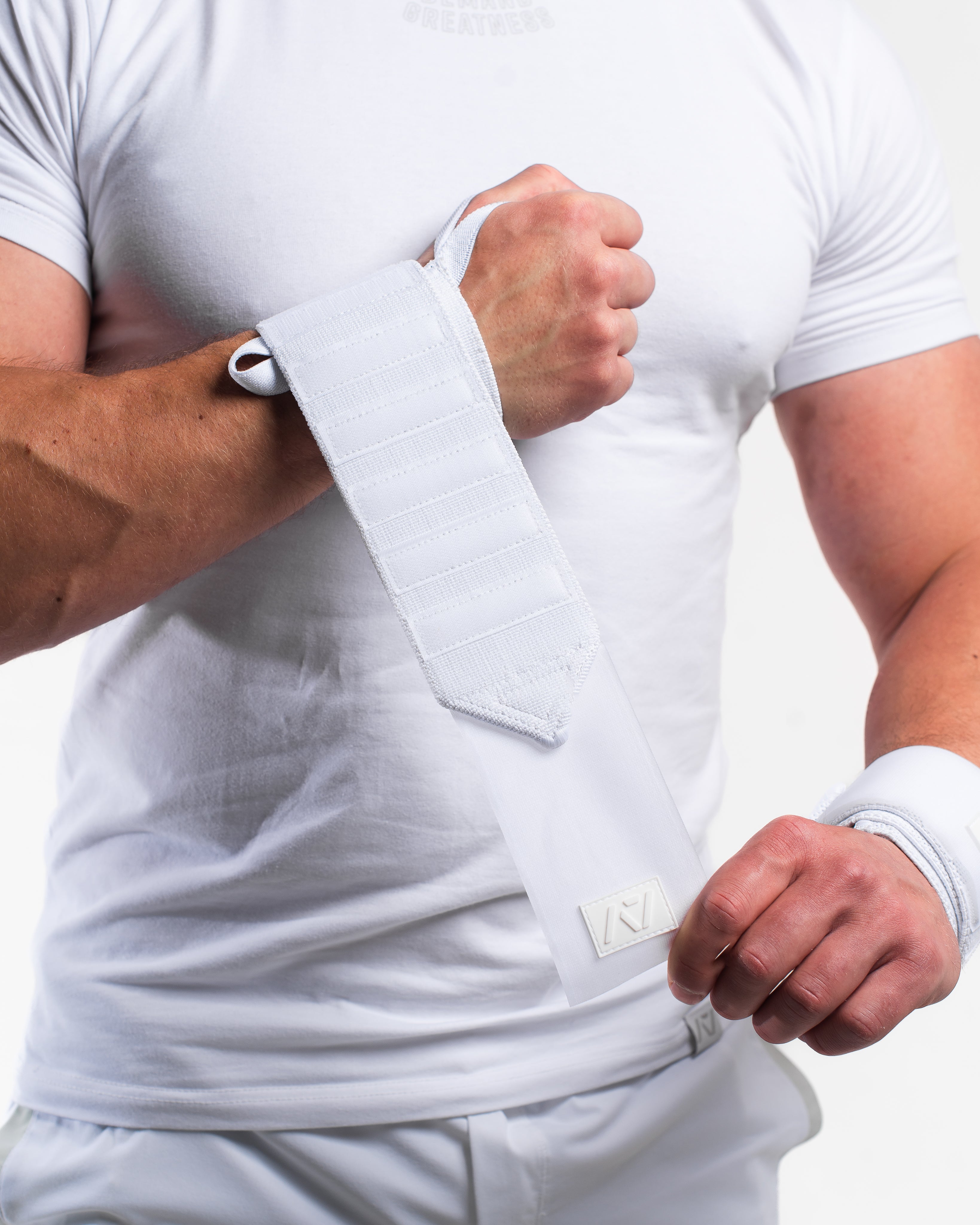 Zebra Wrist Wraps - Polar