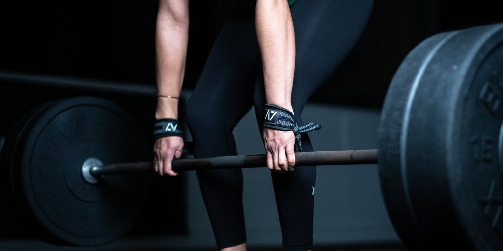 Training Accessories